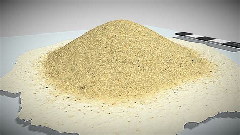 Beach Sand 3d Model By Uq School Of Earth And Environmental Sciences