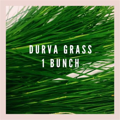 Buy Hoovu Fresh Durva Grassgarike Online At Best Price Of Rs 6132