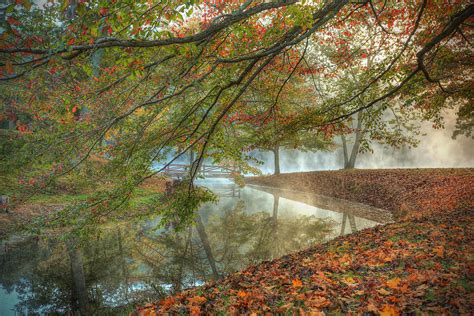 Autumn Mist Photograph By Jaki Miller Fine Art America