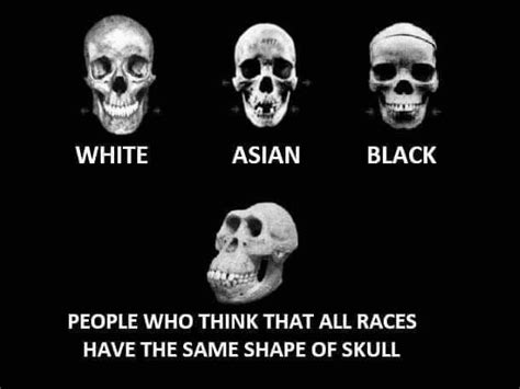 People Who Think All Races Have The Same Shape Of Skull Skull
