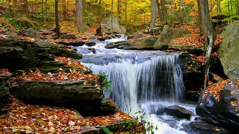 Autumn Waterfalls Forest Leaves Waterfall Autumn Nature And