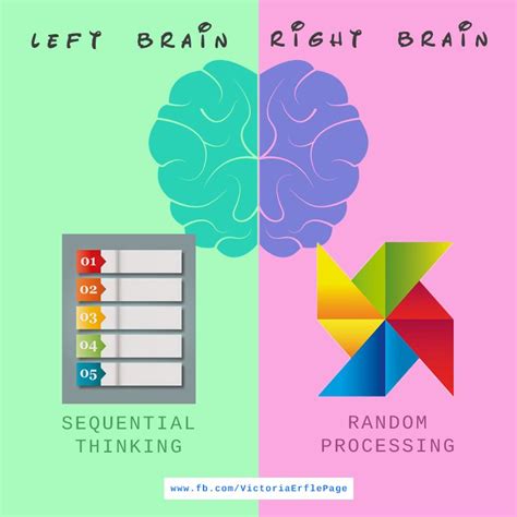 Left Brain Sequential Thinking Right Brain Random Processing