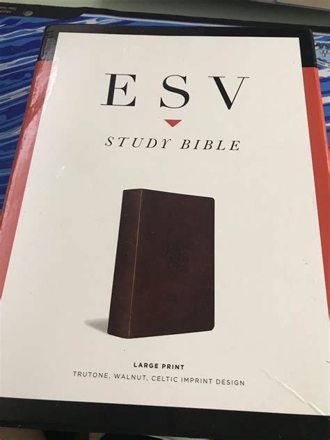 Esv Study Bible Large Print Trutone Walnut Celtic Imprint Design