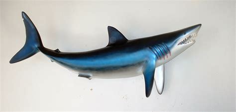 Check spelling or type a new query. Gambar Ikan Hiu Keren Dalam Laut | Kumpulan Gambar