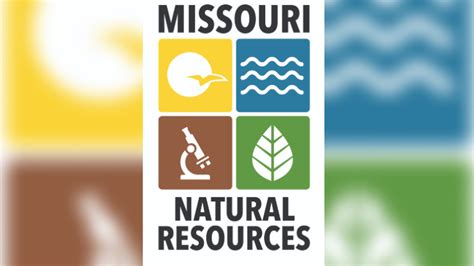 Missouri Department Of Natural Resources Director Carol Comer Dies Fox 2
