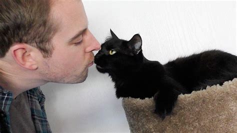 why do cats kiss you on the lips