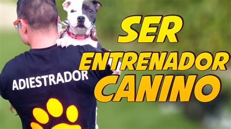 Conviértete En El Mejor Adiestrador Canino Descubre Los Secretos De