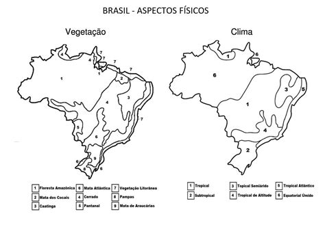 Vegetação E Clima Do Brasil Para Colorir Nerdprofessor