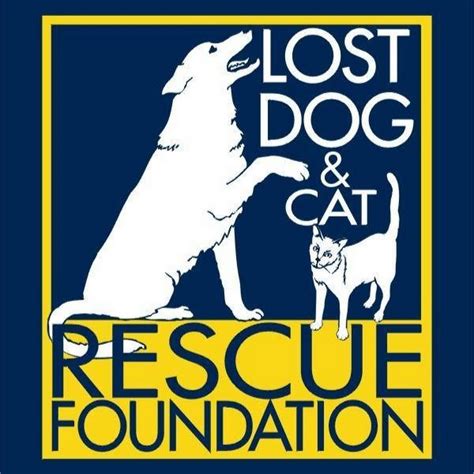 Lost Dog And Cat Rescue Foundation Youtube
