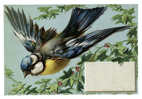 Vintage Retro Bluebirds Printable Images Decals Collage Sheet Clip Art