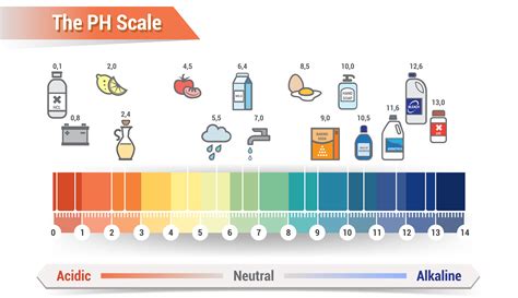 Ph Scale Infographic Acidbase Balance Scale For Chemi