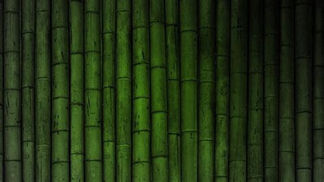 Bamboo Computer Wallpapers Top Free Bamboo Computer Backgrounds