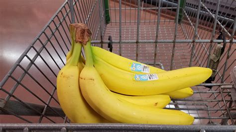 Giant Bananas Banana For Scale Rbananasforscale