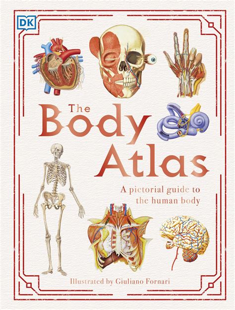 Download The Body Atlas A Pictorial Guide To The Human Body 2020