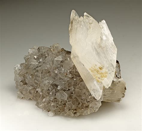 Gypsum with Quartz - Minerals For Sale - #8031356