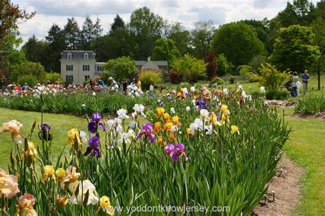 Presby Memorial Iris Gardens Montclair Iris Garden Flower Garden