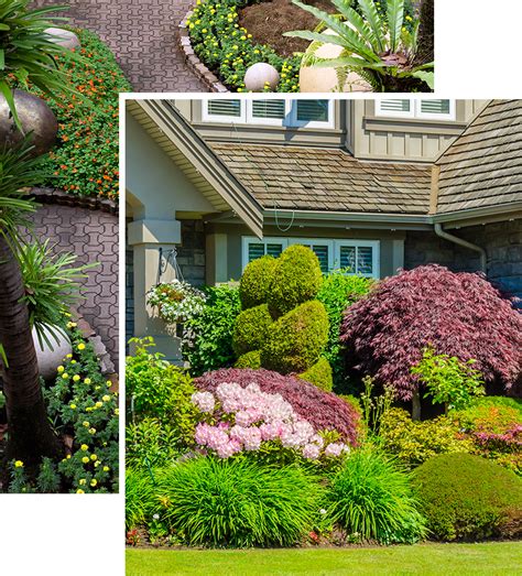 Residential and Commercial Landscaping Services | Palmdale, CA