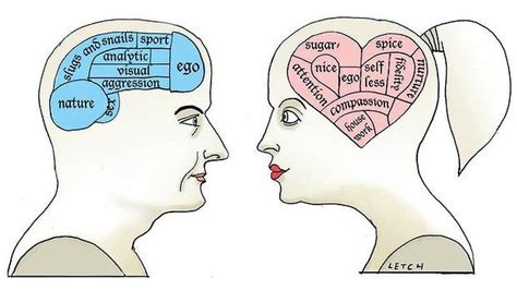 Men And Women Wired Brains The Male V Female Brain Is It All In The