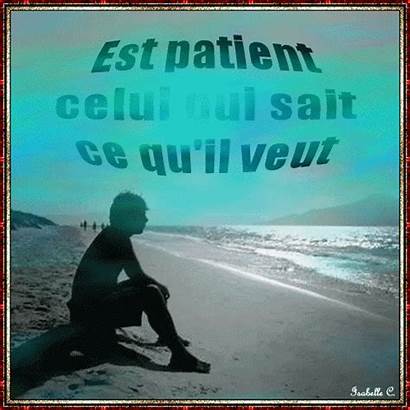 Amour Patience Proverbe