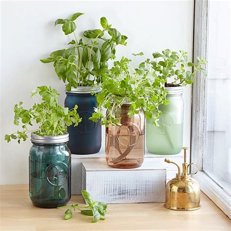 Mason Jar Indoor Herb Garden Hydroponic Grow Kit Uncommongoods