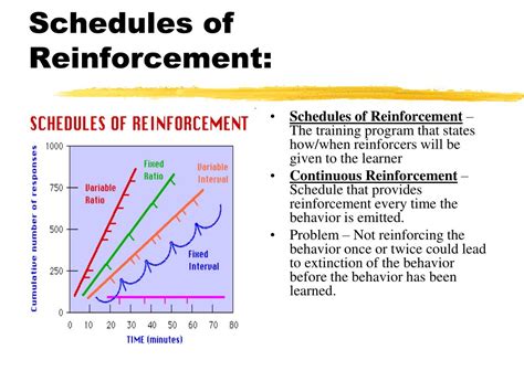 Ppt Learning And Conditioning Powerpoint Presentation Free Download