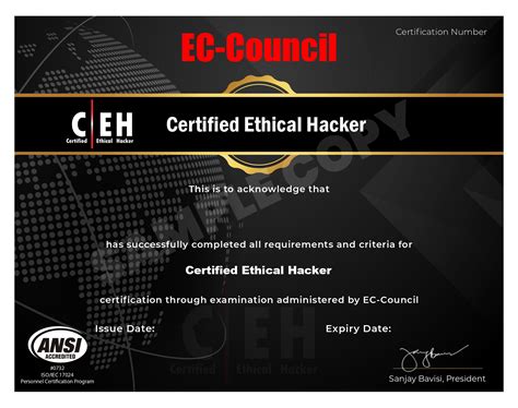 Certified Ethical Hacker Ceh V12 Course In Kolkata Dataspace Academy