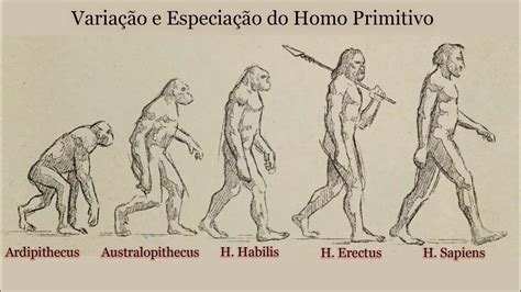 O Início do Homo Primitivo H Habilis H Erectus H Sapiens YouTube
