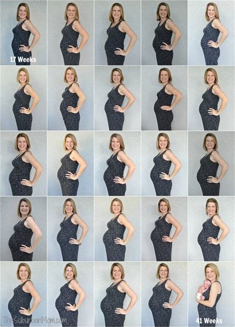 The Best Tips For Pregnancy Week By Week Pictures The Suburban Mom