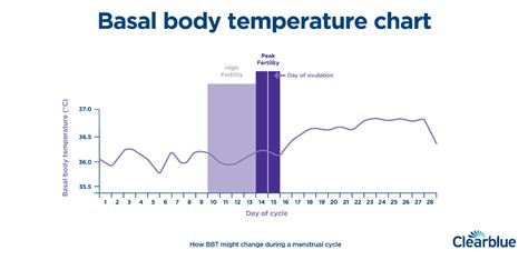 Basal Body Temperature Definition And Charts Clearblue