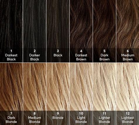 Natural Hair Levels Lighter Hair Brown Hair Color Chart Hair Levels