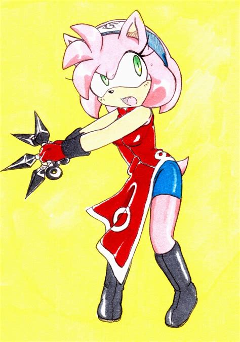 Amy Rose Sakuras Outfit Protect A Rose Photo 35636805 Fanpop