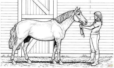 Printable Realistic Horse Coloring Page Horse Coloring Pages Horse