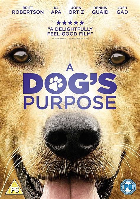 A Dogs Purpose Dvd 2017 Br