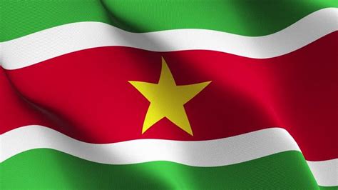 Suriname Flag 🇸🇷 Suriname Flag International Flags Flag