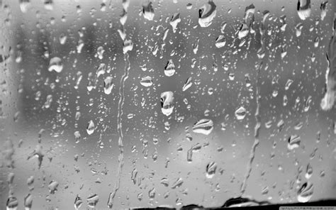 Rain Droplets Wallpapers Wallpaper Cave