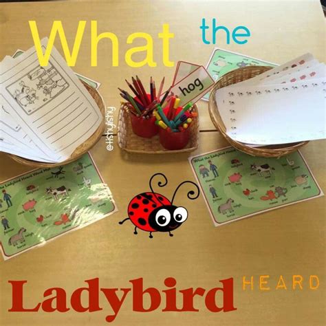 Ladybird What The Ladybird Heard Activities Minibeasts Activities