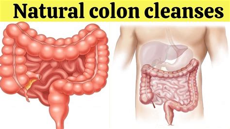 7 Ways To Do A Natural Colon Cleanse At Home How To Cleanse Colon Naturally At Home Youtube