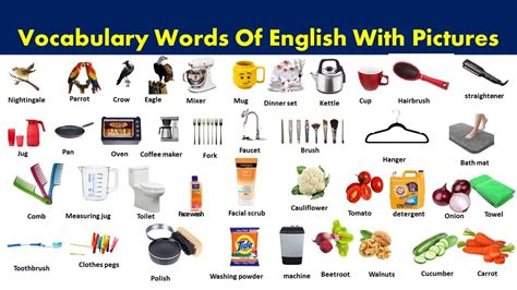 Learn Vocabulary Words With Pictures All Vocabulary Vocabulary Point