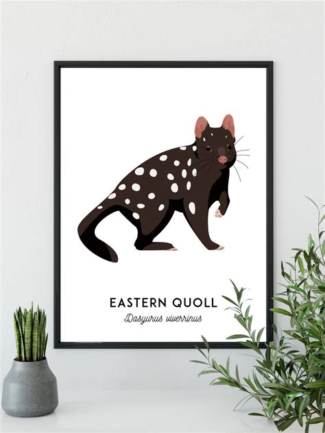 Quoll Print Printable Animal Art Australian Native Etsy Australia