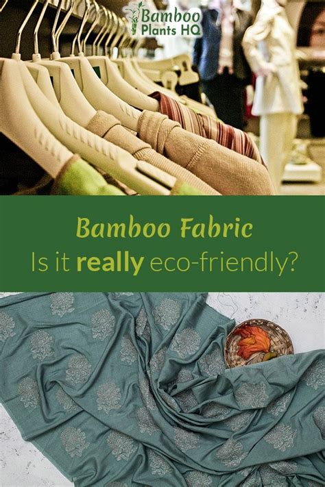 Are Bamboo Fabrics Really Eco Friendly Bamboo Plants HQ