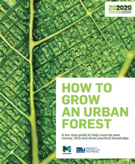 202020 Vision How To Grow An Urban Forest Your Levy At Work