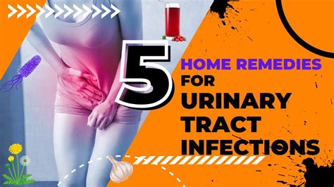 5 Home Remedies For Urinary Tract Infections Uti Home Remedies Utis