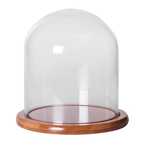 Decorative Glass Dome With Wooden Base Cloche Bell Jar Display Diy 26