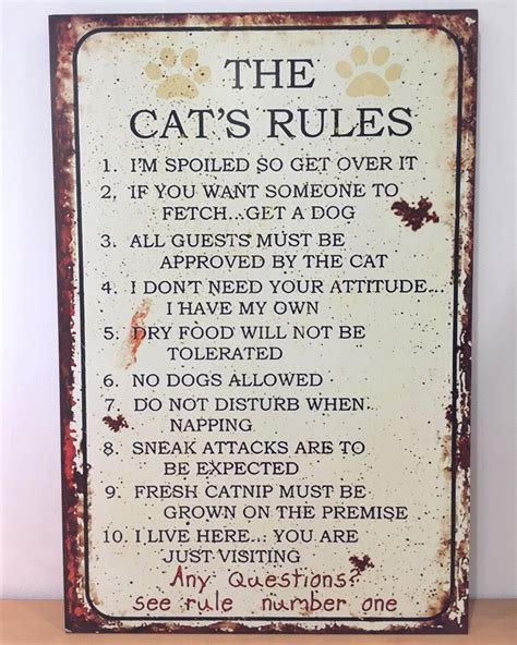The Cats Rules Wooden Plaque Hanging Hilarious Sign Etsy