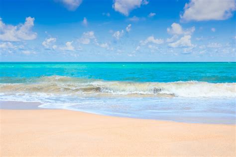 Brown Sand Beach Near Blue Ocean · Free Stock Photo