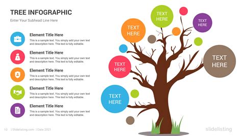 Tree Infographic Powerpoint Template Presentation Templates Graphicriver