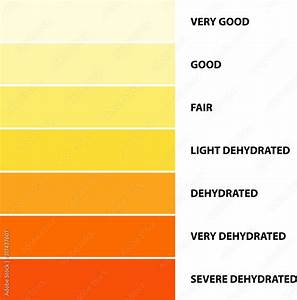 Urine Color Dehydration Urine Color Chart Vector Illustration Stock