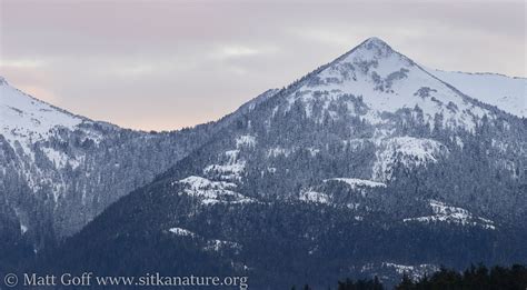 Late Afternoon Overcast Sitka Nature