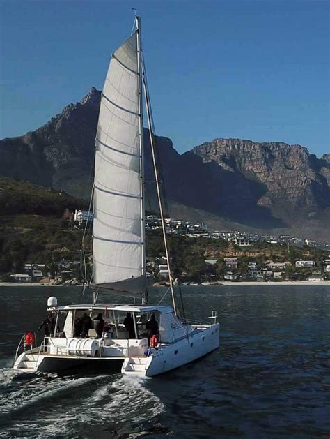 8 Hour Table Bay Cruise Explore Catamaran Cape Town Vanda Waterfront