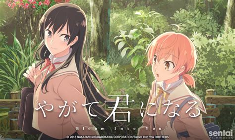Manga is the japanese equivalent of comics with a unique style and following. Sentai Filmworks Plucks "Bloom Into You" - Sentai Filmworks